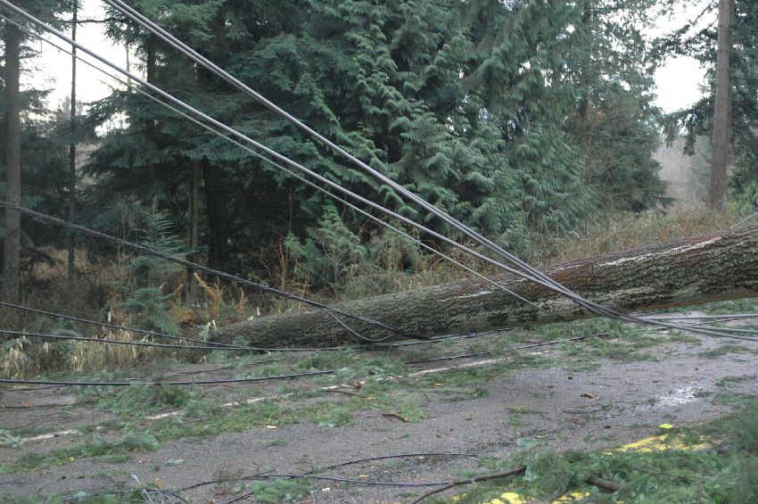Seattle Windstorm wiring a furnace to a generator 